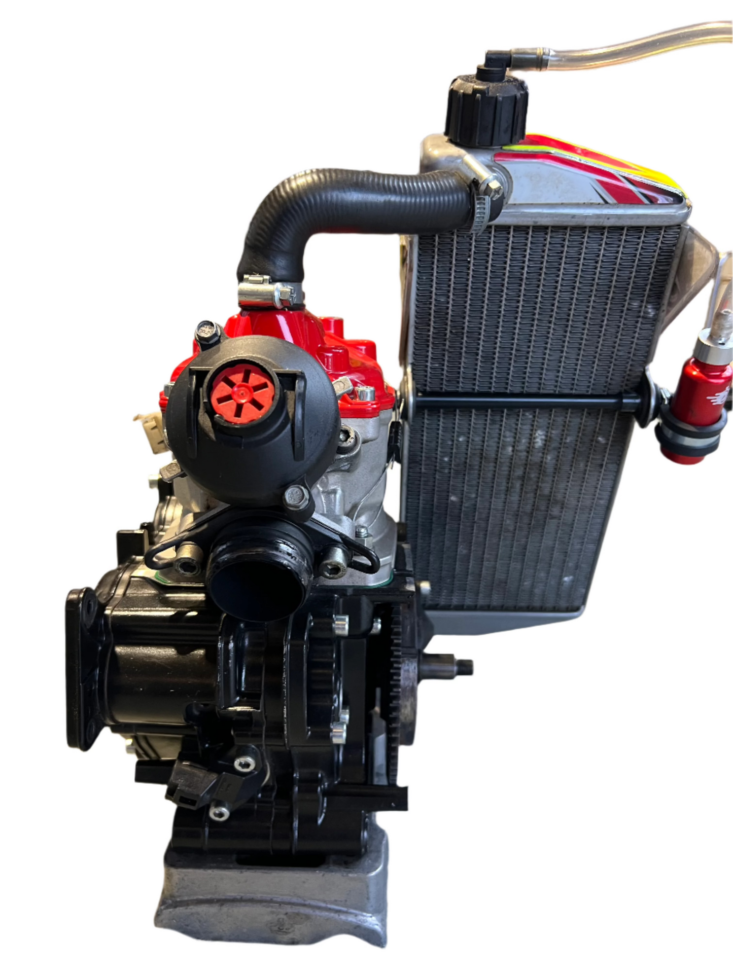Rotax Max Senior Engine by Time