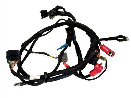 ROTAX EVO WIRING LOOM